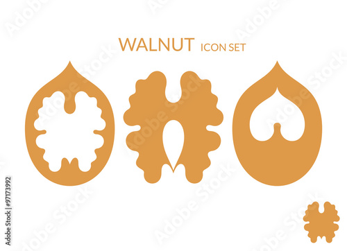 Walnut. Icon set  