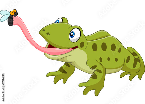 Cute frog catching fly isolated on white background

