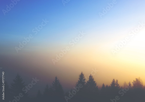 A colorful sunrise. A beautiful sunrise behind the forest. The forest is like a silhouette.
