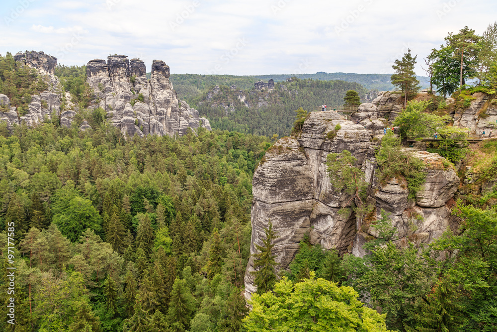 a beautiful view of the river Elbe from a height beautiful forest Saxon Switzerland. Reserve Bastei.