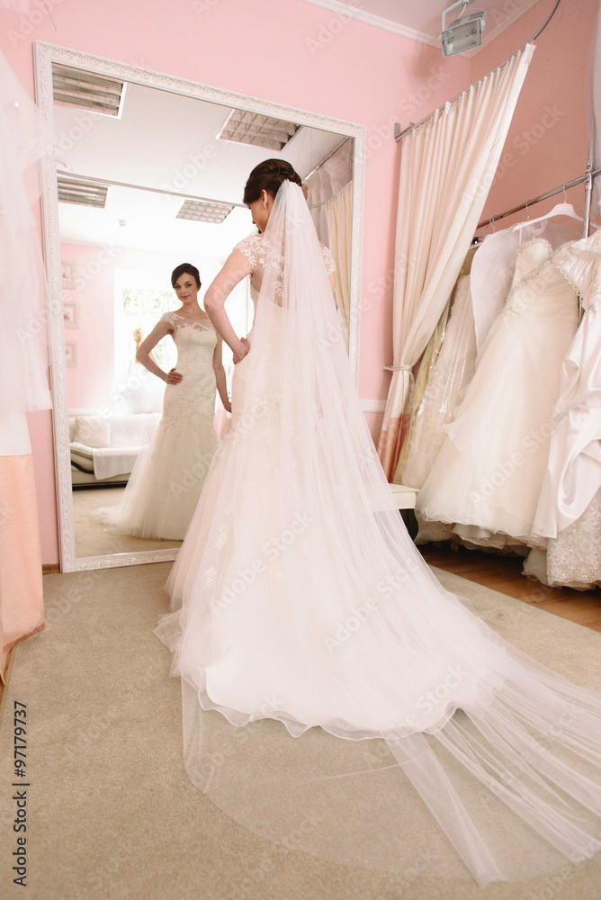 gorgeous happy luxury stylish brunette bride dressing up in salo gorgeous happy luxury stylish brunette bride dressing up in salo