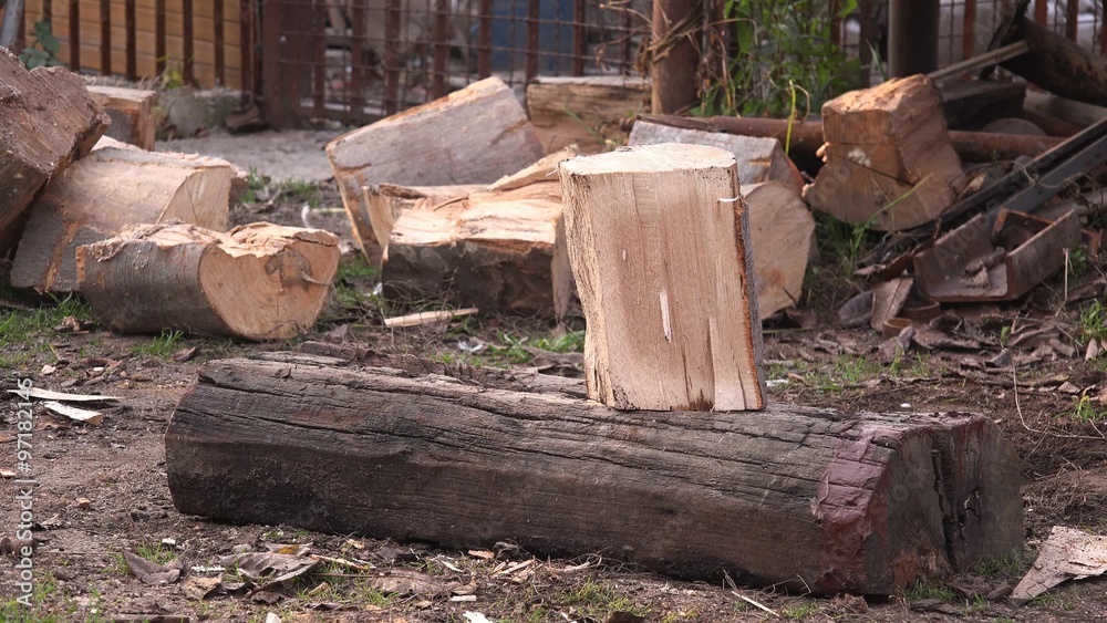 Lumberjack worker cutting firewood with heavy axe Lumberjack worker cutting firewood with heavy axe