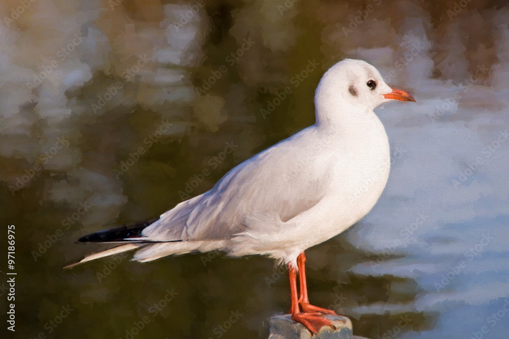 gull, impressionism style  - illustration