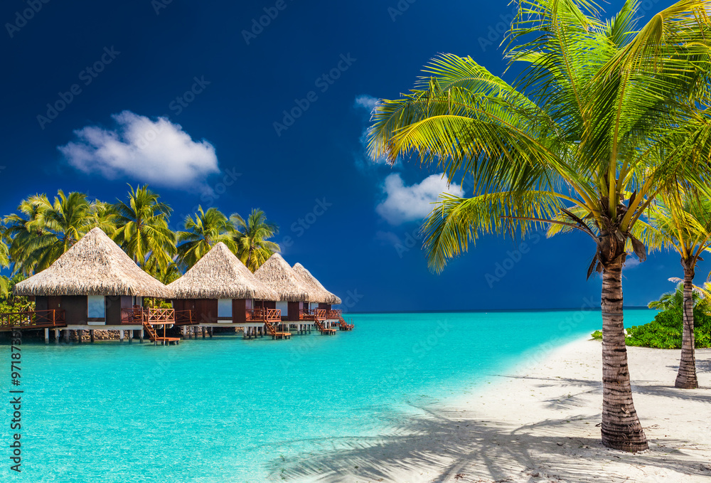 Over water bungalows on a tropical island with palm trees and am - obrazy, fototapety, plakaty 