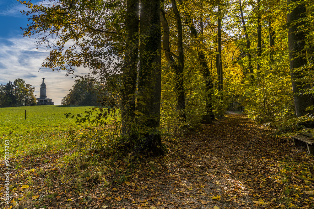 Obraz premium Herbstlicher Waldweg zum Bismarckturm in Assenhausen