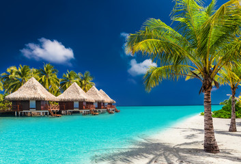 Acrylglasbilder Tropischer Strand Überwasserbungalows mit Palmen im Tropenparadies  © Martin Valigursky
