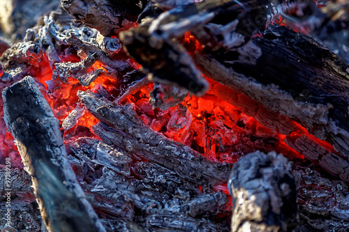 Bonfire in the autumn forest