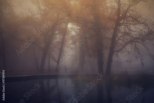 Autumn park on a foggy day
