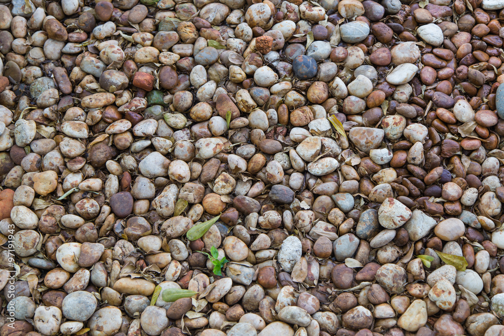 Stones and Pebbles Stones and Pebbles
