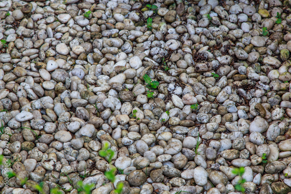 Stones and Pebbles Stones and Pebbles
