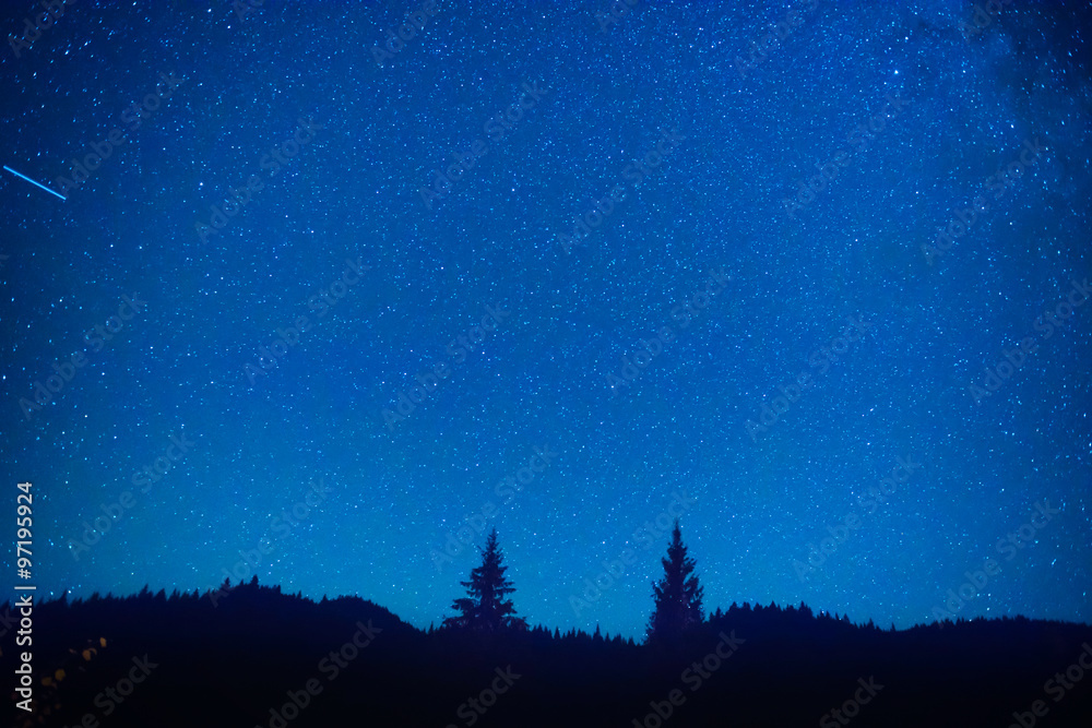 Dark blue night sky above the mystery forest
