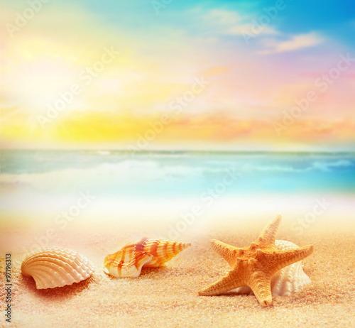 Starfish and seashells on the summer beach