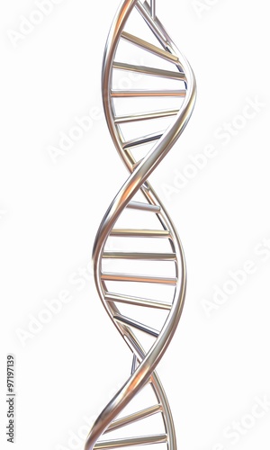 DNA structure model on white