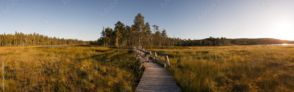 Steg in Moorlandschaft in Schweden