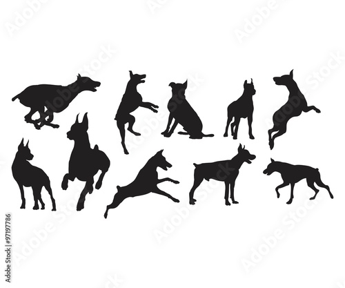 Silhouette Doberman Dog