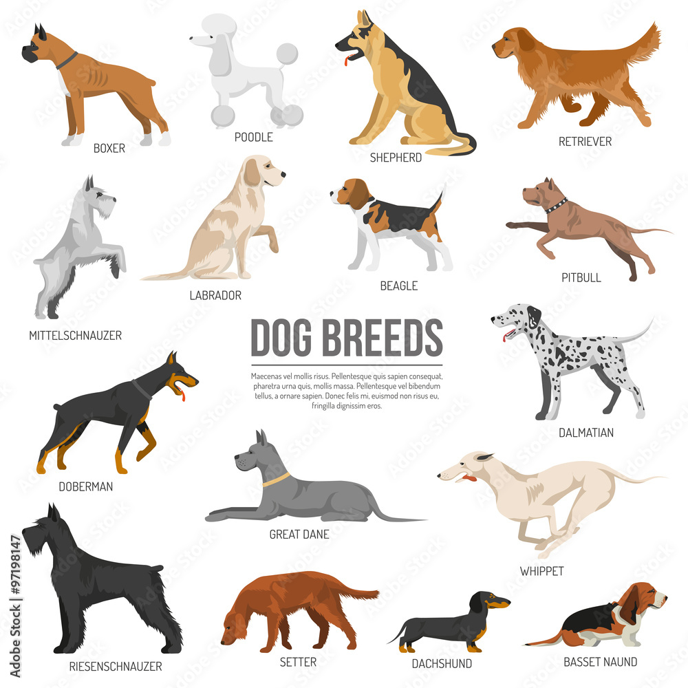 Dogs breed set