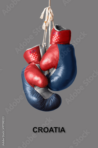 Boxing Gloves in the Color of Croatia