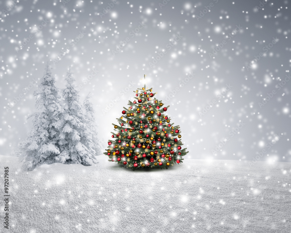 Weihnachtsbaum in Winterlandschaft StockFoto Adobe Stock