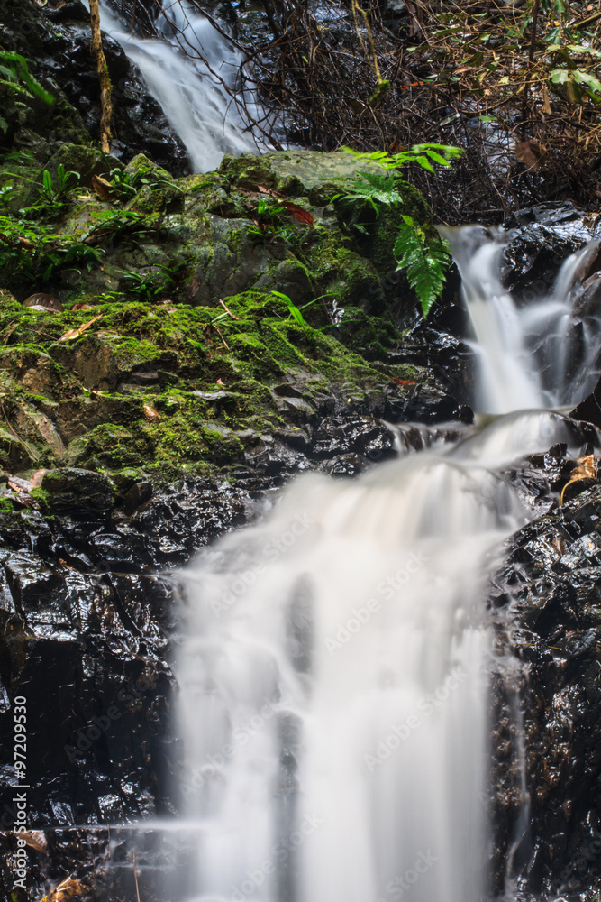 Obraz premium waterfall and rocks covered with moss
