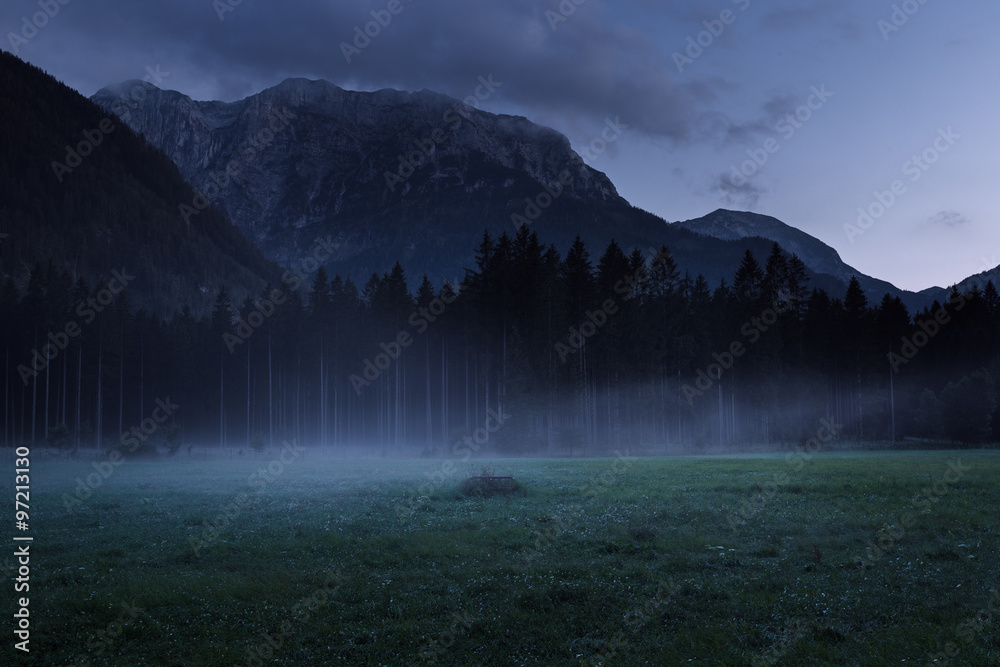 Fototapeta premium Foggy and misty pasture with forest and mountain in background