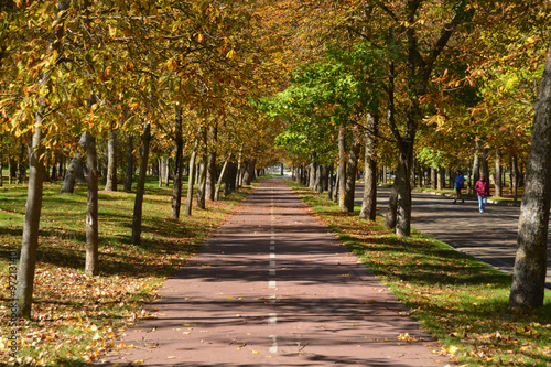 colores de otoño en un paseo de Burgos © uzkiland