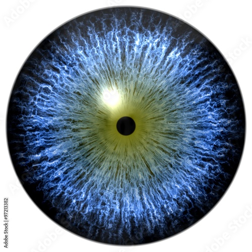 Fototapeta Naklejka Na Ścianę i Meble -  Blue alien, bird, cat or reptile eye with olive green circle around the narrow pupil