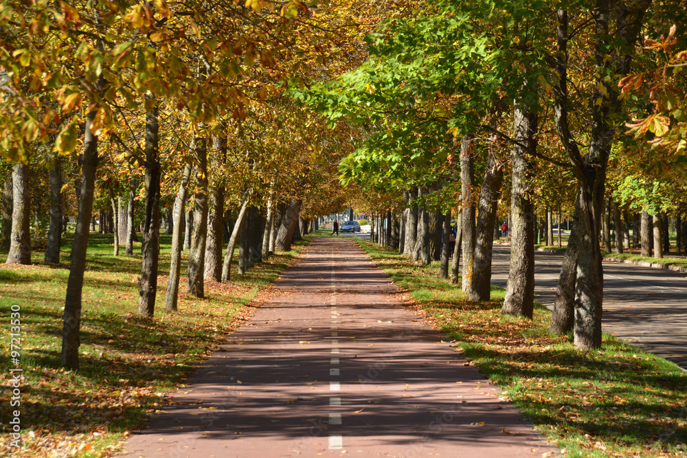 Fototapeta premium colores de otoño en un parque de Burgos