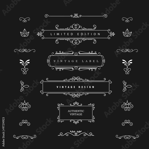 Vintage Design Vector Elements. Flourishes calligraphic