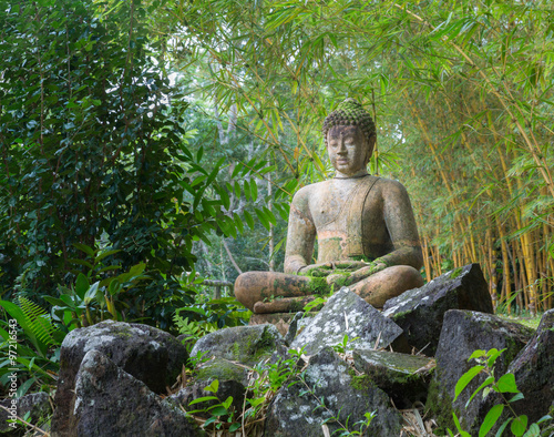 Buddha statue in bamboo forest