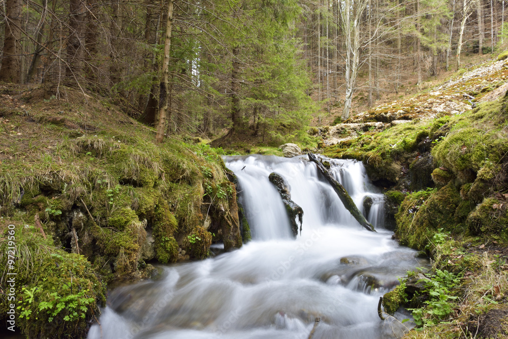 Obraz premium Deep forest waterfall
