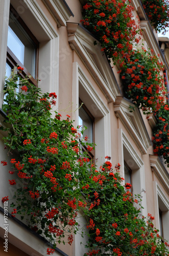 Facade of old building with flowers on windows, Lviv, Ukraine