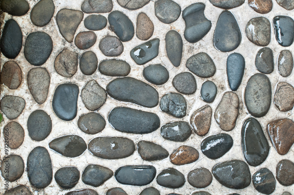 Ground with stones / rocks Ground with stones / rocks