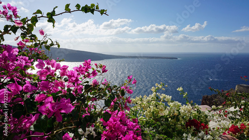 colorful flowers in greece village oia on santorini © chriss73