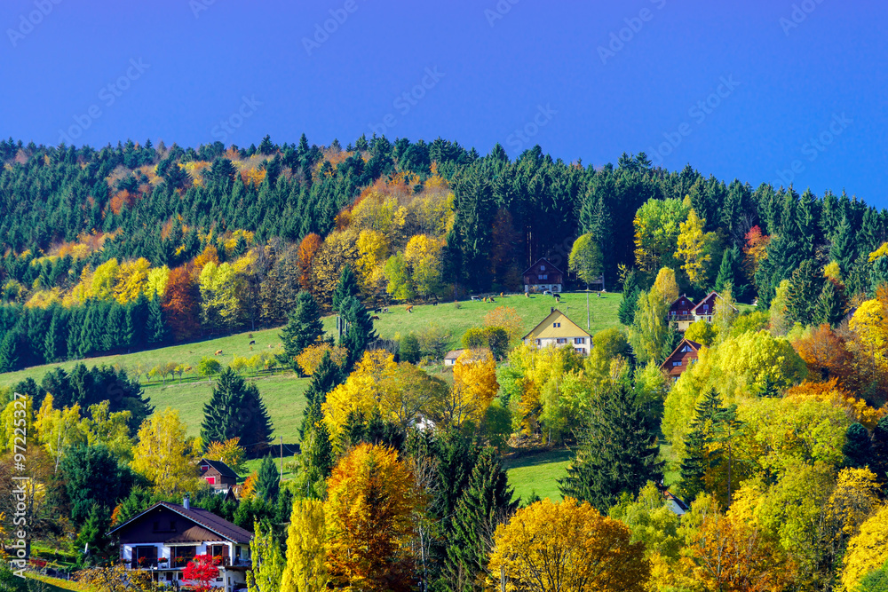 Beautiful colorful autumnal landscape of alsacien hills Beautiful colorful autumnal landscape of alsacien hills