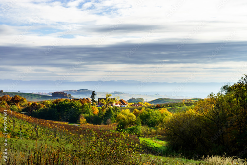 Beautiful landscape of alsacien hills with vineyards