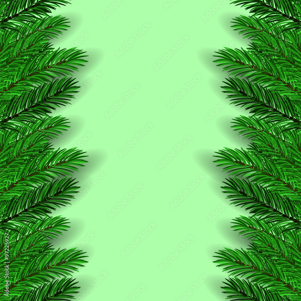 Green Fir Branches