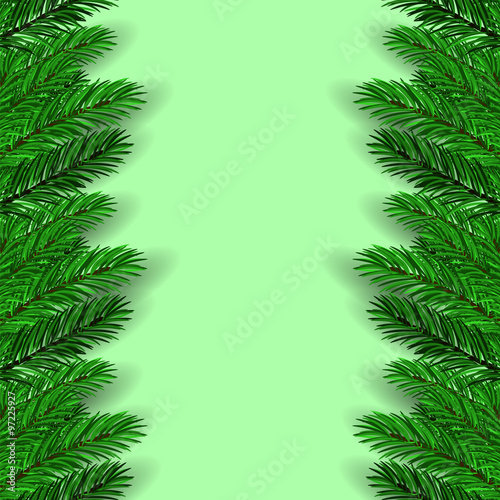 Green Fir Branches