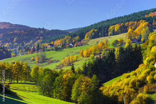 Fototapeta Naklejka Na Ścianę i Meble -  Beautiful colorful autumnal landscape of alsacien hills