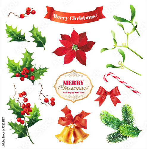 Elements of Christmas decoration. Vector design set. 