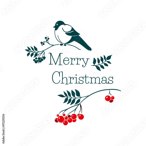 Christmas greeting card with bullfinch and rowan branch