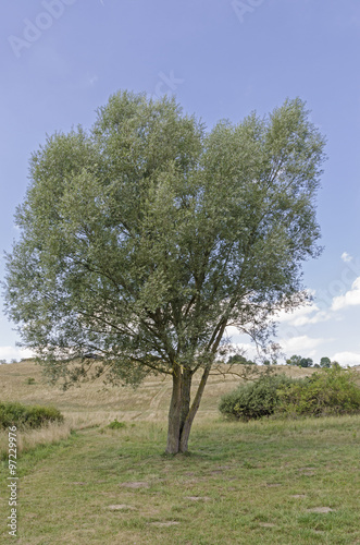 Feldberg am Haussee