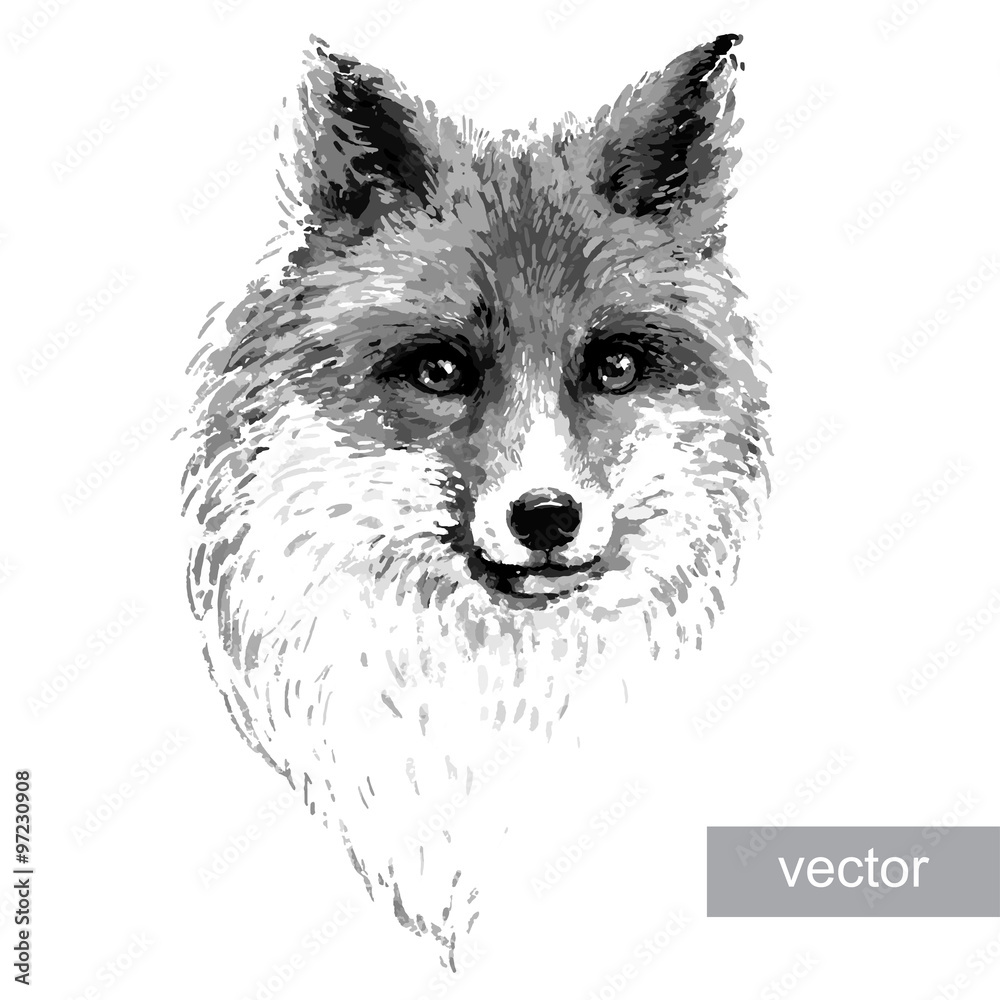 Naklejka premium Colored fox illustration on white background