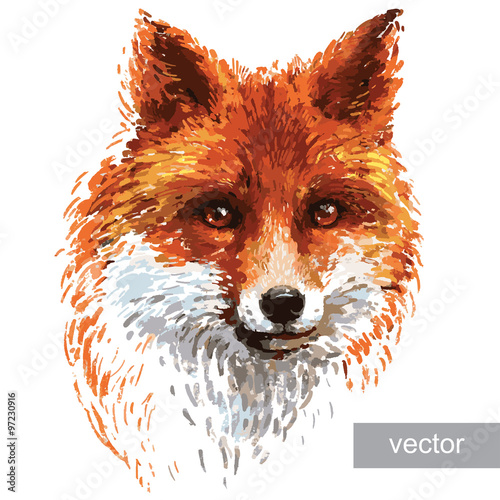 Colored fox illustration on white background