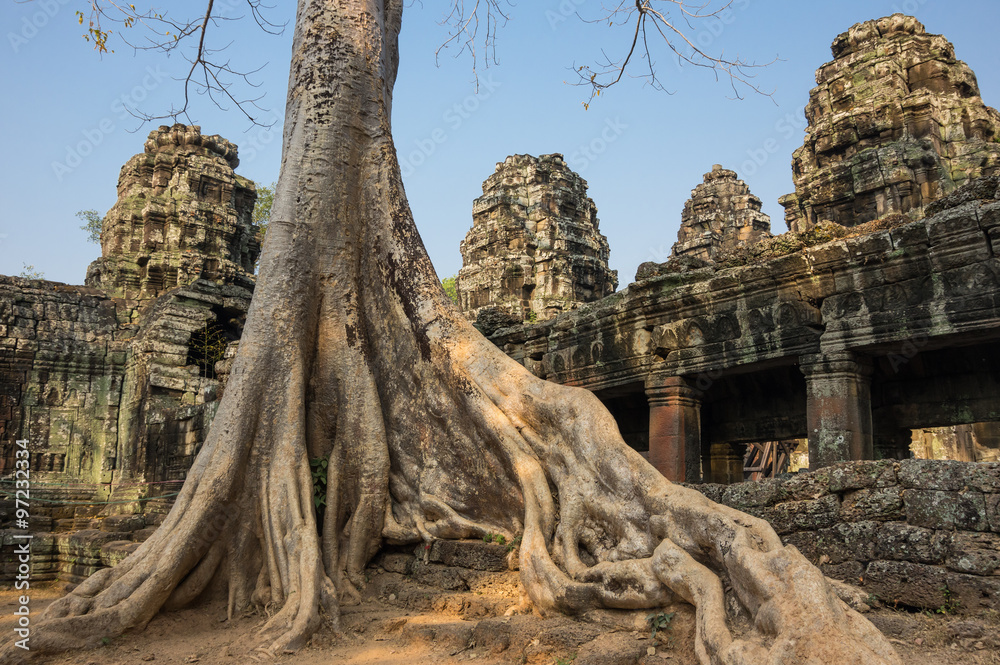 Obraz premium Ta Prohm temple