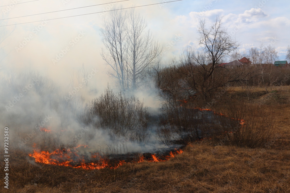 Fototapeta premium Line of the fire coming toward the village - burning meadow grass