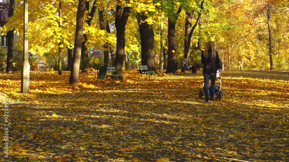 Mother with her newborn baby having a walk in the park, steadycam shot, slow motion shot
Mother with her newborn baby having a walk in the park, steadycam shot, slow motion shot
