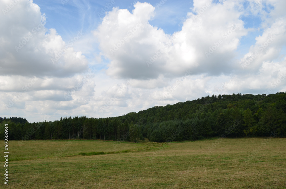 Shortgrass meadow and forest in rural area