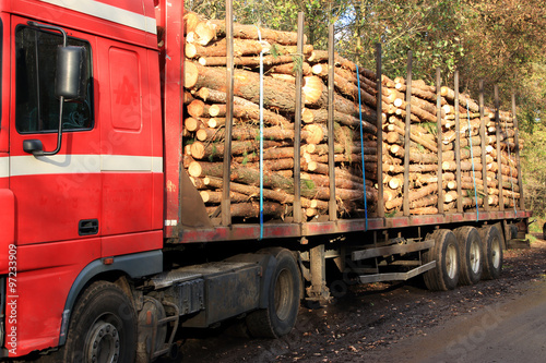 Holzlaster, Forstwirtschaft, Holztransport