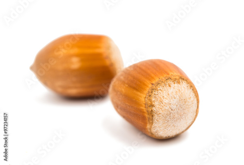 hazel nuts in the shell