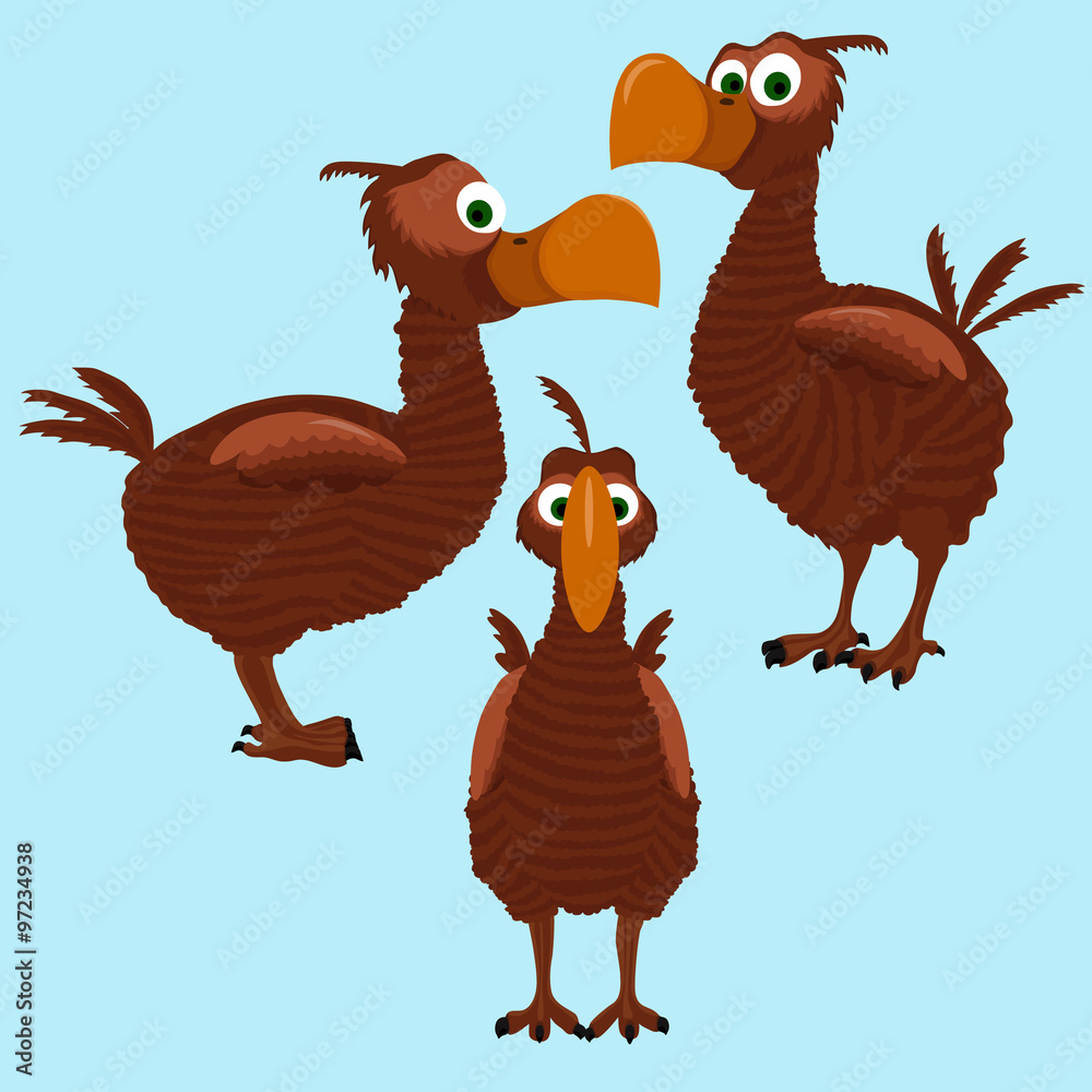 Cartoon bird dodo in three side.